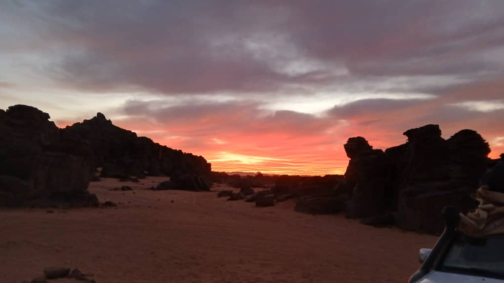 whatsapp image 2026 02 11 at 01.36.3277