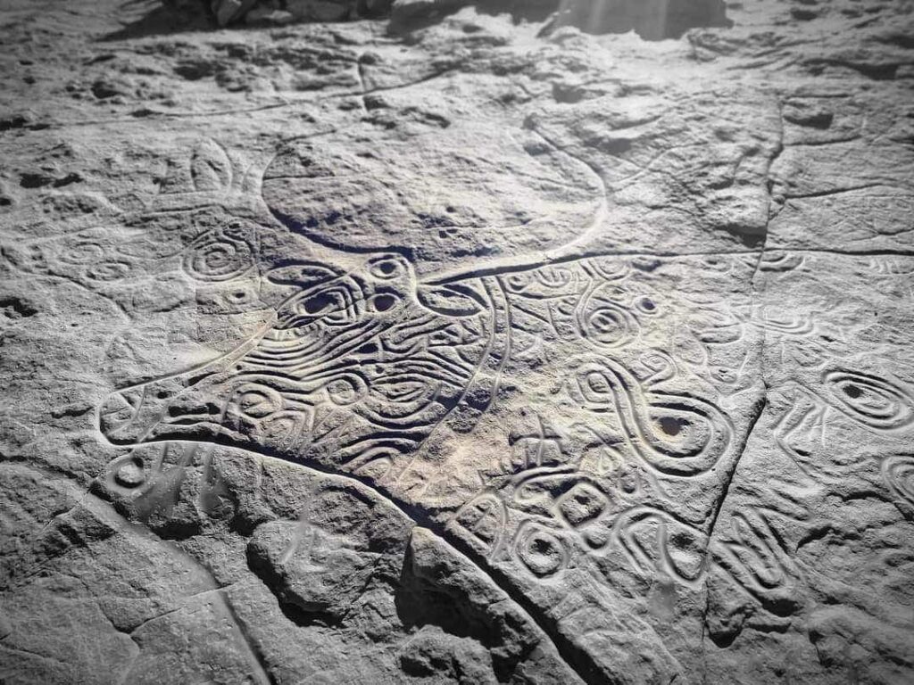 whatsapp image 2026 02 11 at 01.36.3399