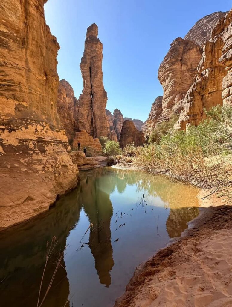 whatsapp image 2026 02 11 at 01.36.35102