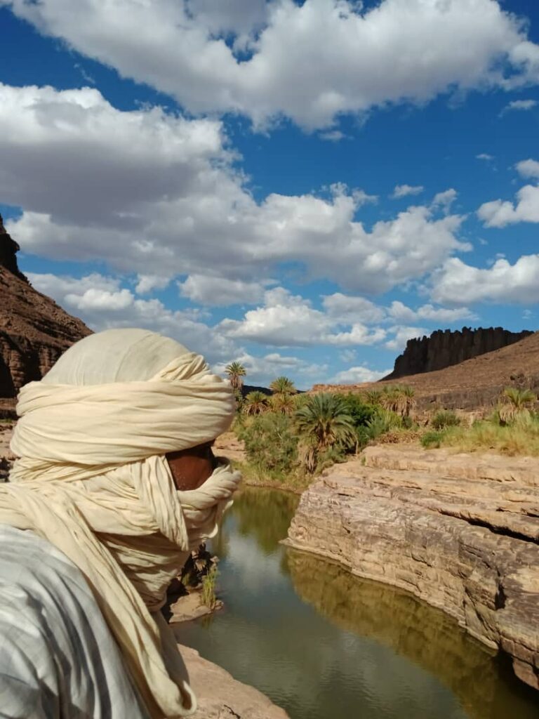 whatsapp image 2026 02 11 at 01.36.3574