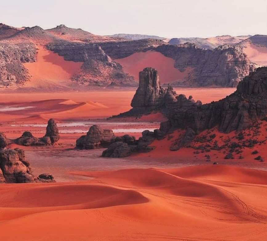 whatsapp image 2026 02 11 at 01.37.001