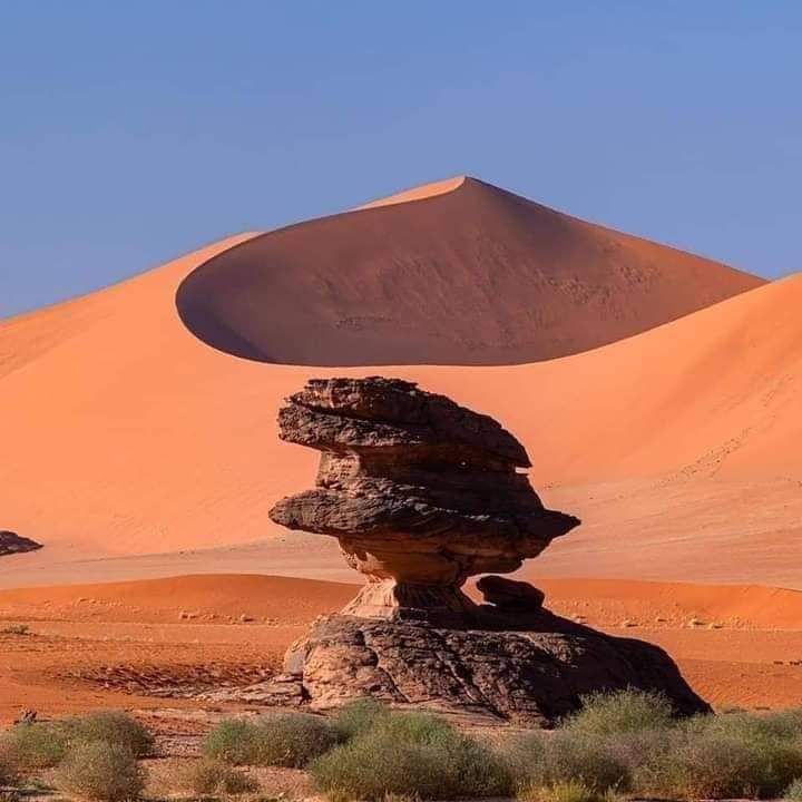 whatsapp image 2026 02 11 at 01.37.01