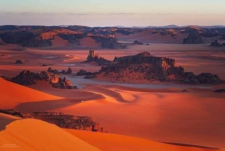 whatsapp image 2026 02 11 at 01.37.012