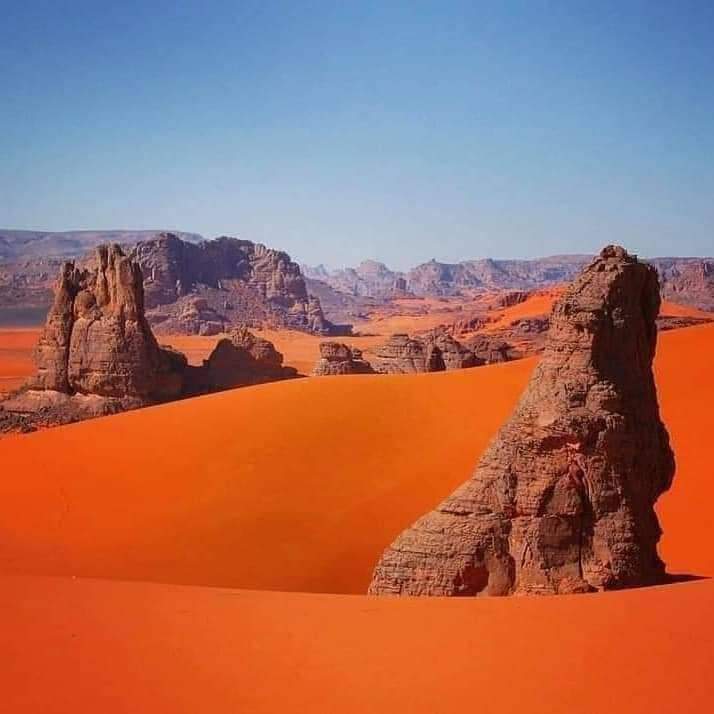 whatsapp image 2026 02 11 at 01.37.06