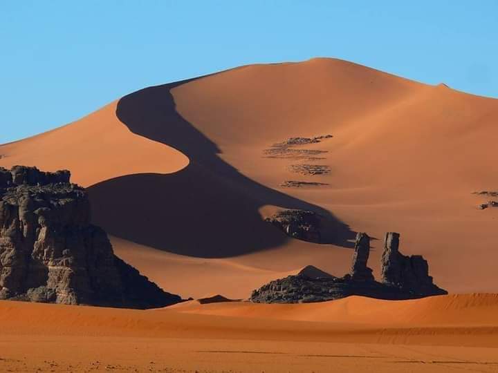 whatsapp image 2026 02 11 at 01.37.12