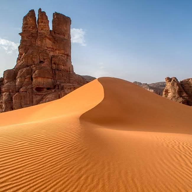 whatsapp image 2026 02 11 at 01.37.23