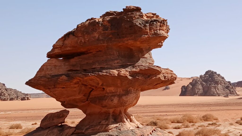 whatsapp image 2026 02 11 at 01.37.242