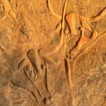 Le site de Tiggerghart (la vache qui pleure)